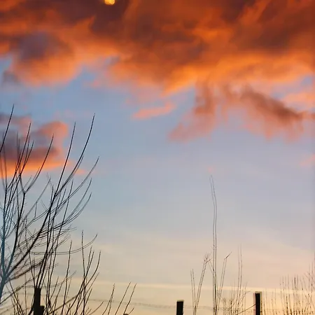 Bucolique Pres Du Mans - Fr-1-410-203 度假居 *